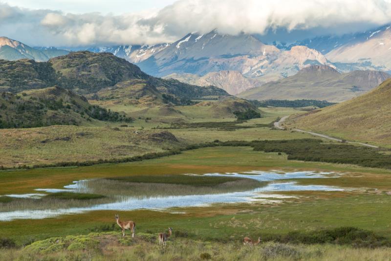 parque Patagonia, al sur de Chile