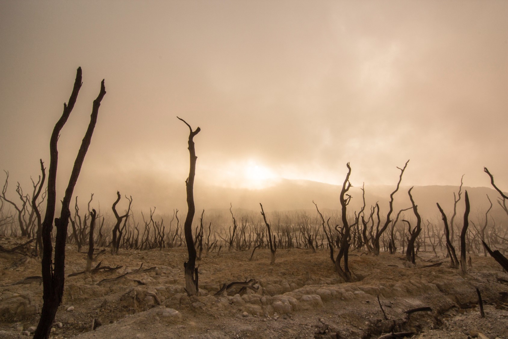 Cambio climático investigación
