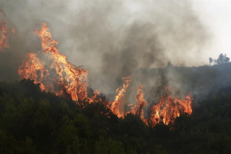 Incendio forestal