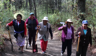 Mujeres silvicultoras