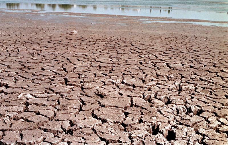 Desertificación