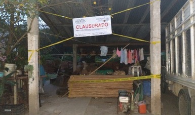 Clausura materias primas Profepa en Veracruz
