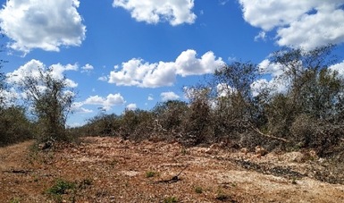 Clausuran predio en Yucatán