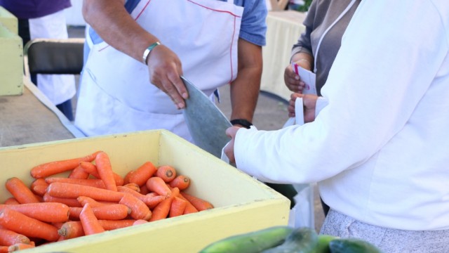 Sedema mercado del trueque