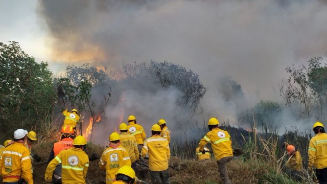 Sedema incendios