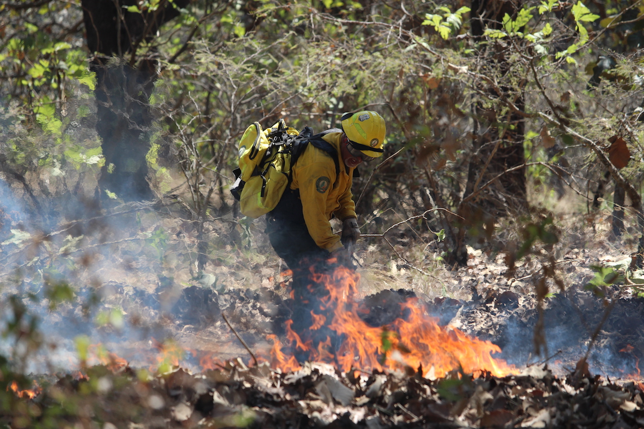 Incendio forestal