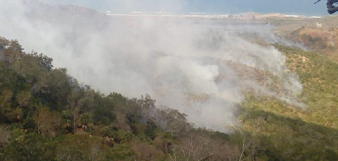 Incendio forestal