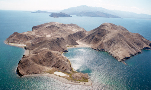 Isla de Baja Califorania