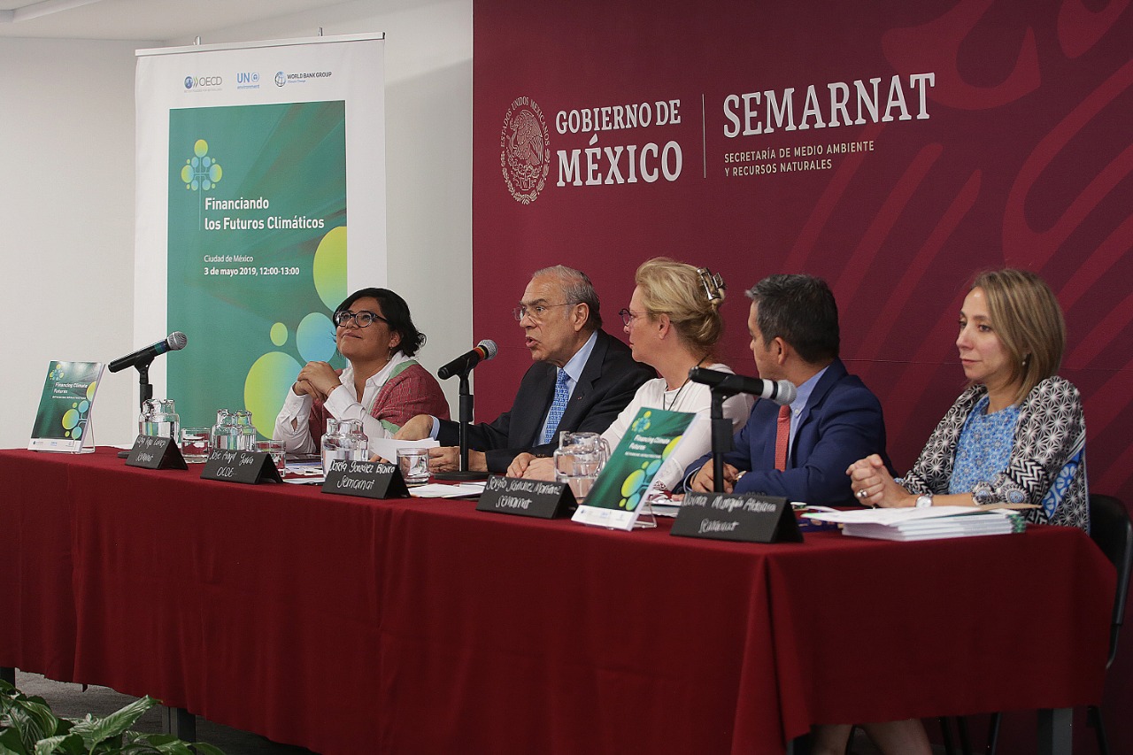 Reunión Semarnat