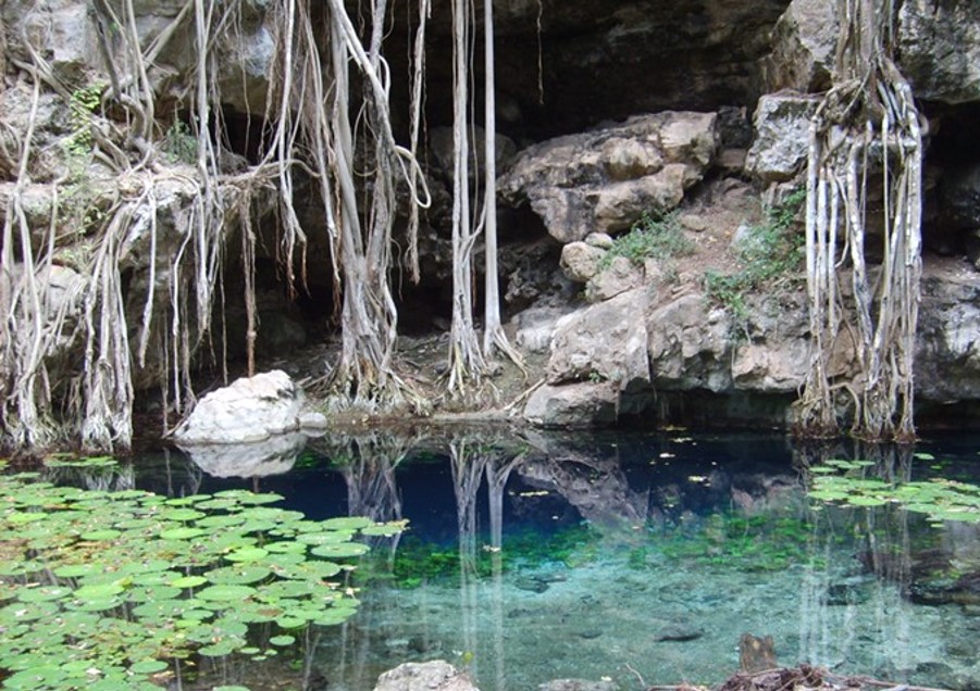 Cenote XBatún, Umán, Yucatán
