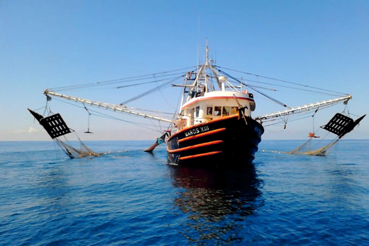 Barco pesquero