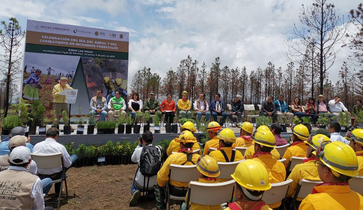 En Veracruz inicia la Campaña Nacional de Restauración Forestal