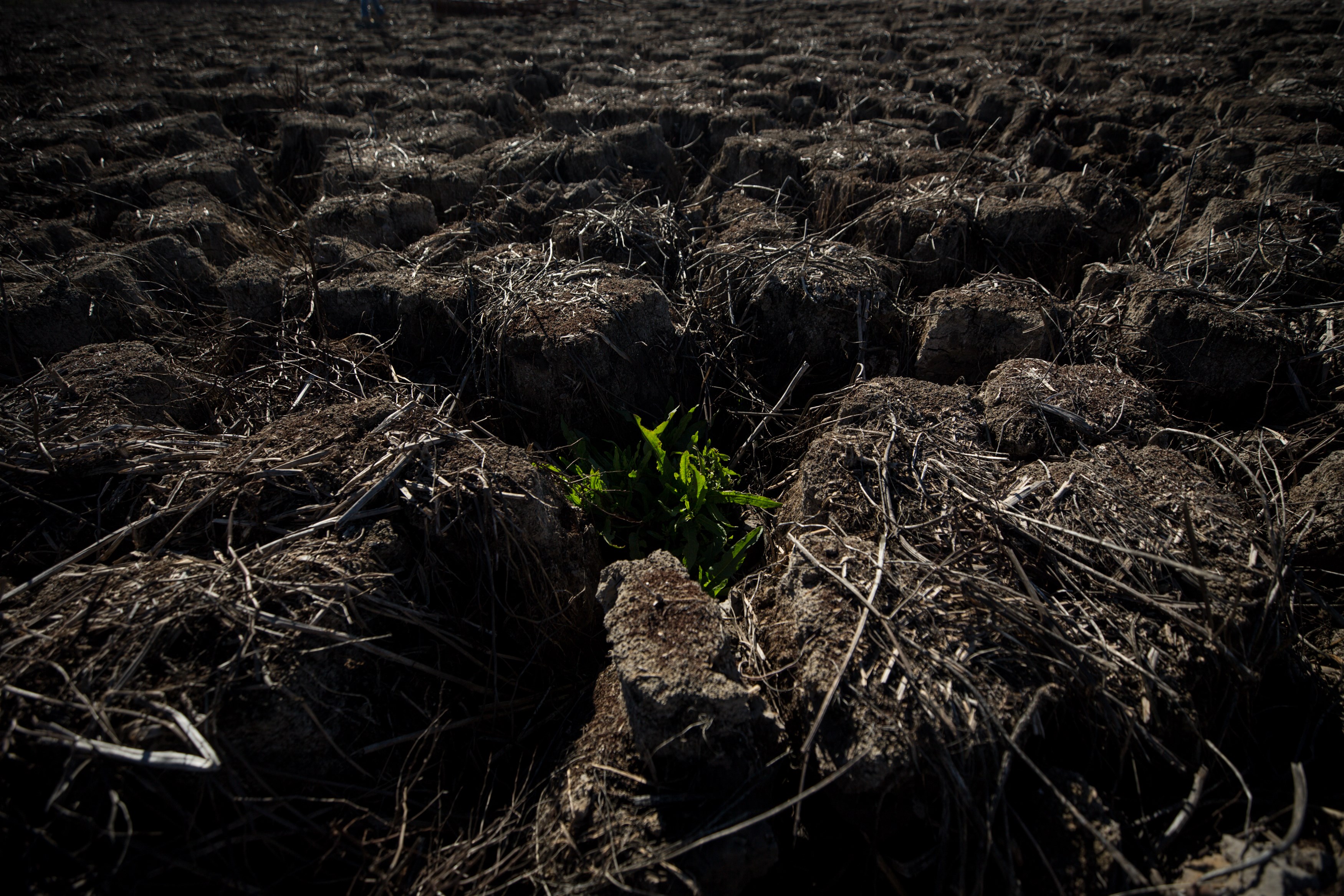 Tierra seca