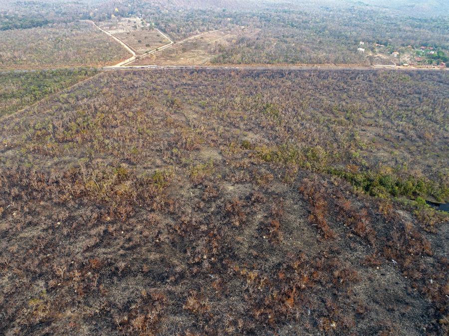 Incendio en Amazonia