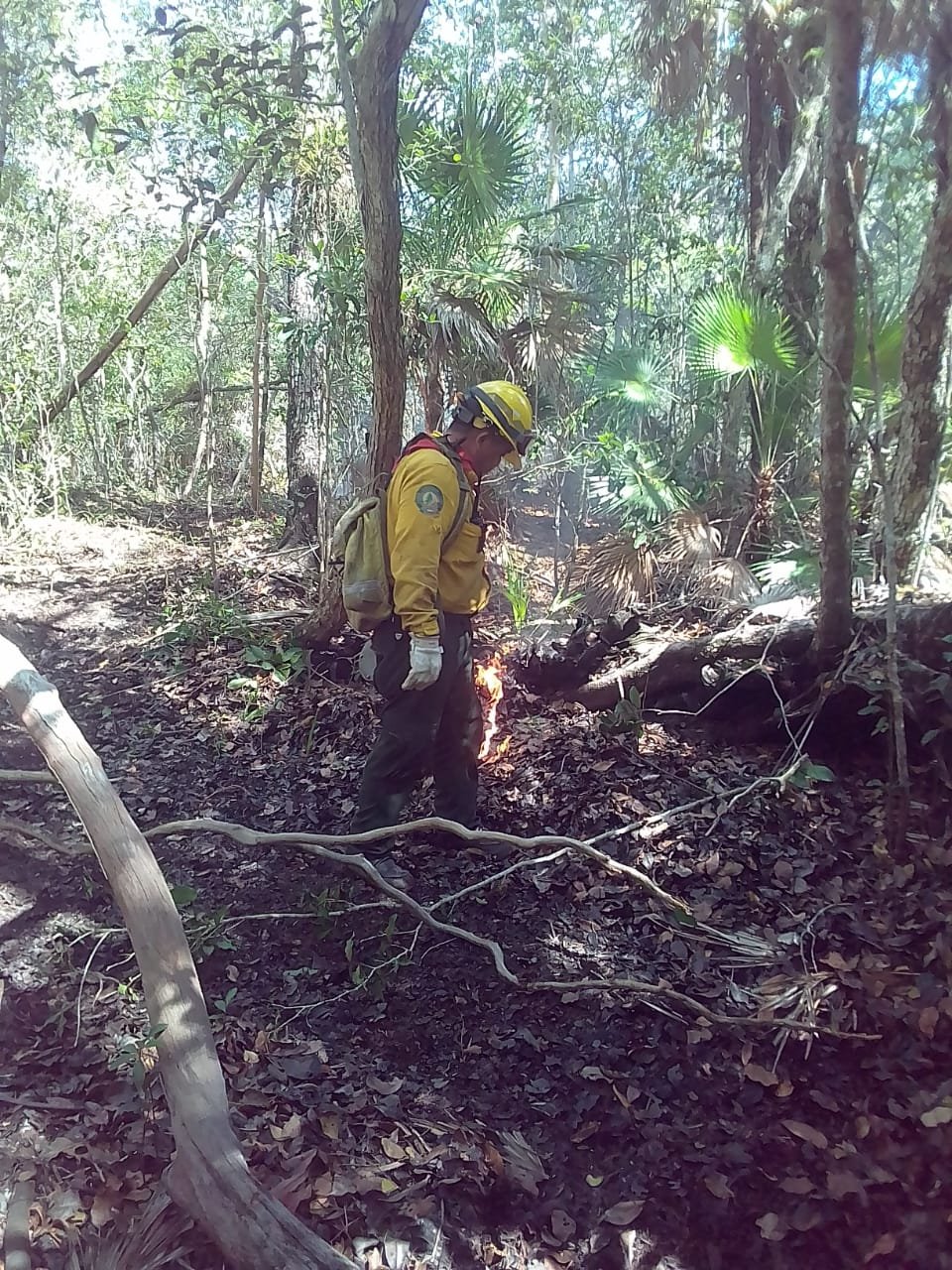 Combatiente de fuego Conafor