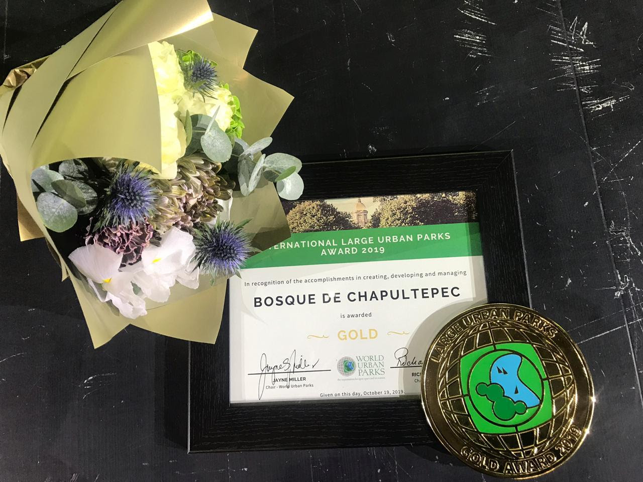 Premio Bosque de Chapultepec