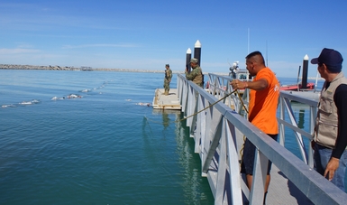 Vigilancia en Golfo de California