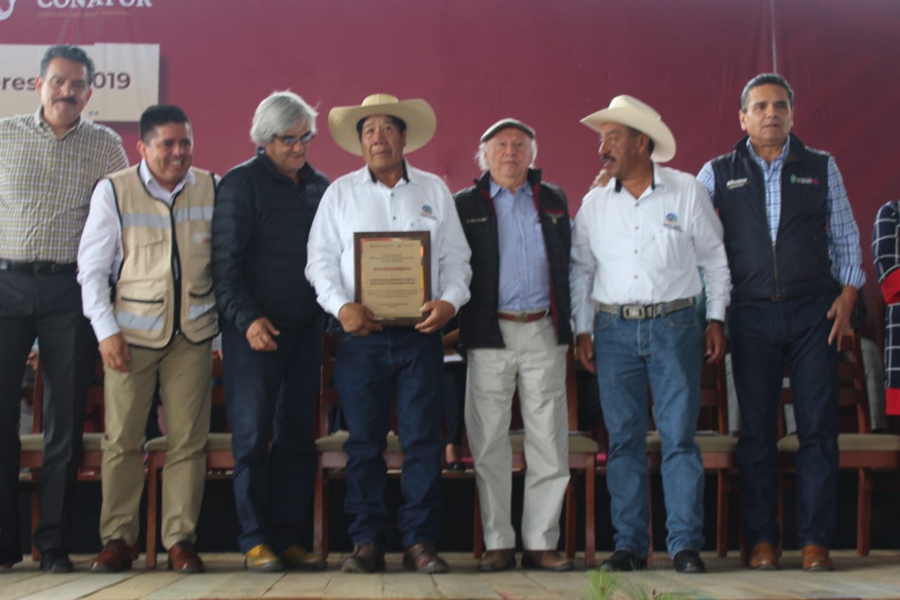 Premio forestal 2019