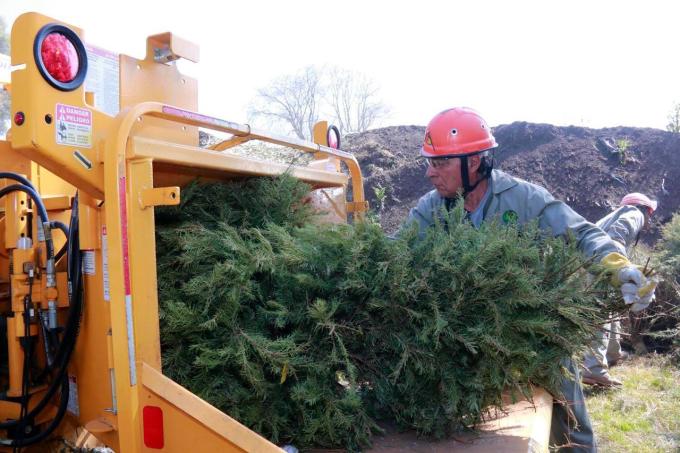 Árbol de Navidad 