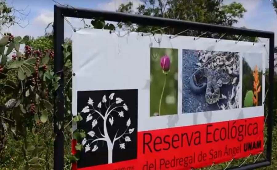 Reserva Ecologica UNAM