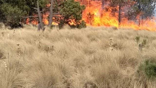 Incendio Forestal