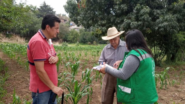 Programa Altepetl