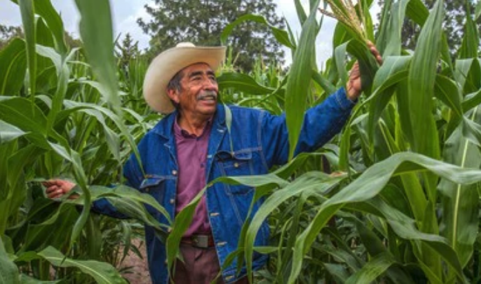 Agricultor