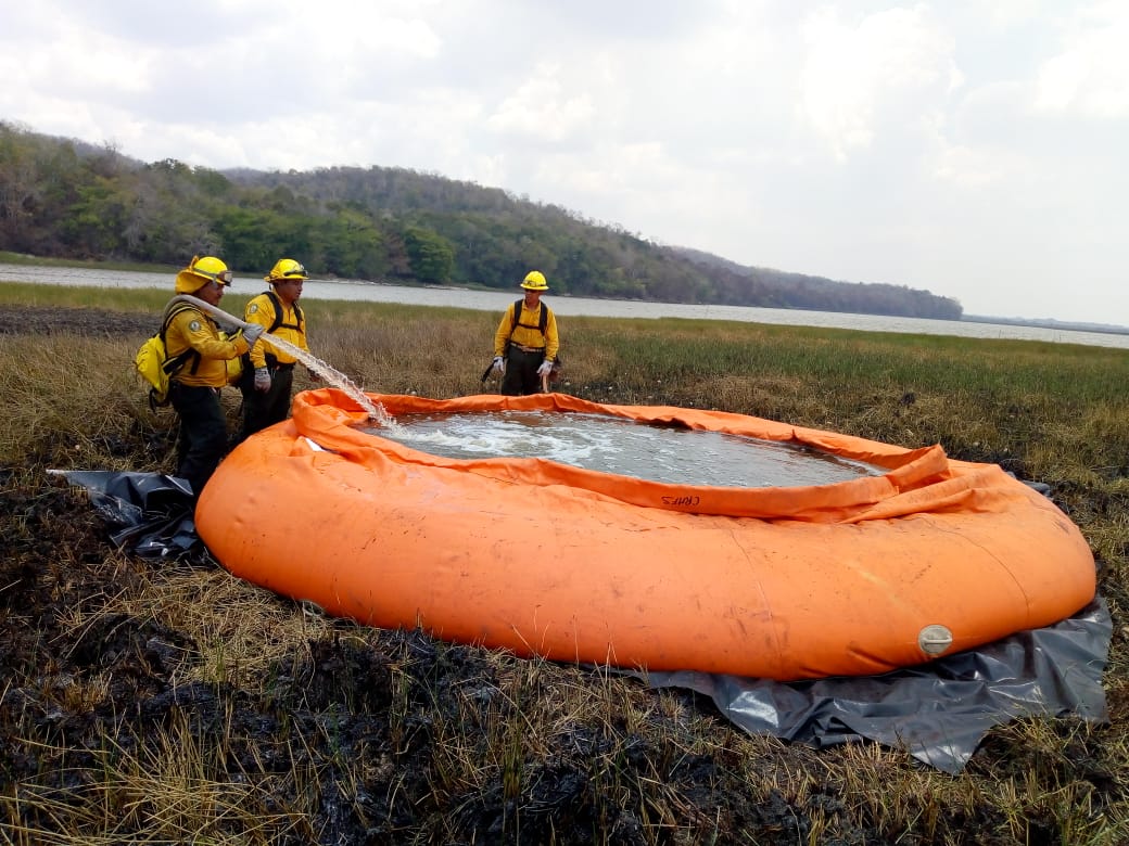 Combatientes del fuego