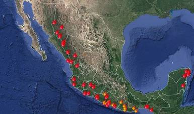 Incendios forestales