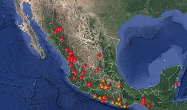 Incendio forestal