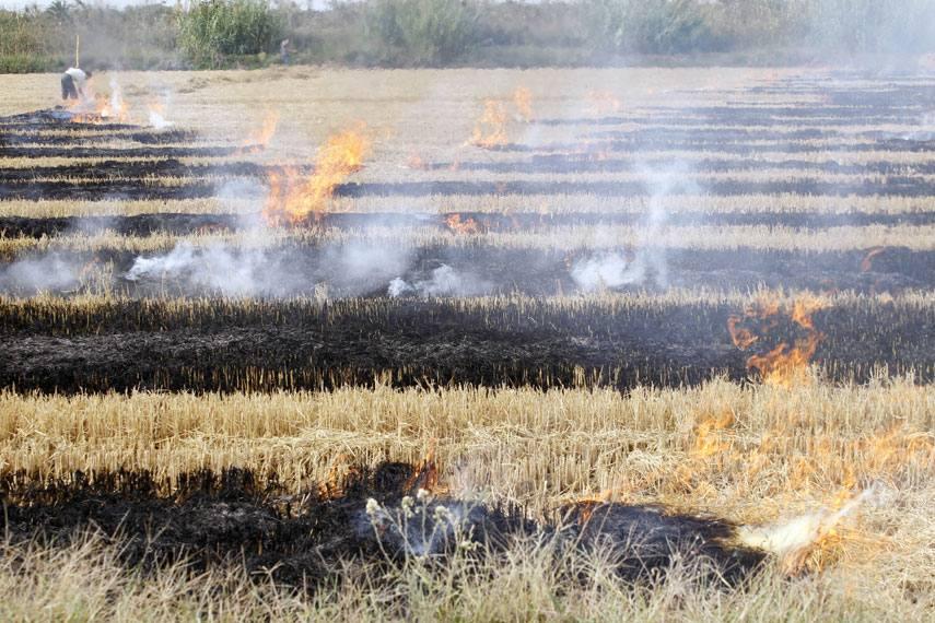 Las Quemas Agropecuarias Afectan La Calidad Del Aire PortalAmbiental Com Mx