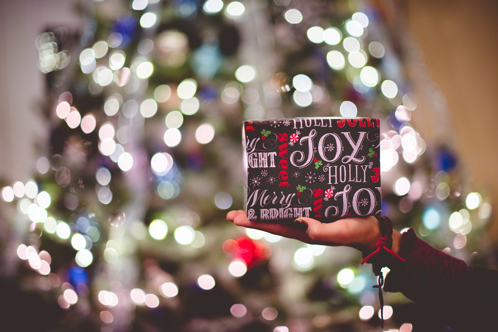 Tradiciones navideñas sin afectar medio ambiente: no al musgo para