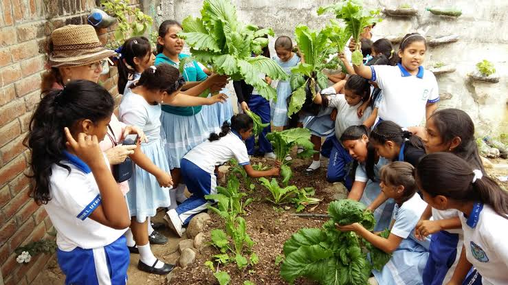 Educación ambiental