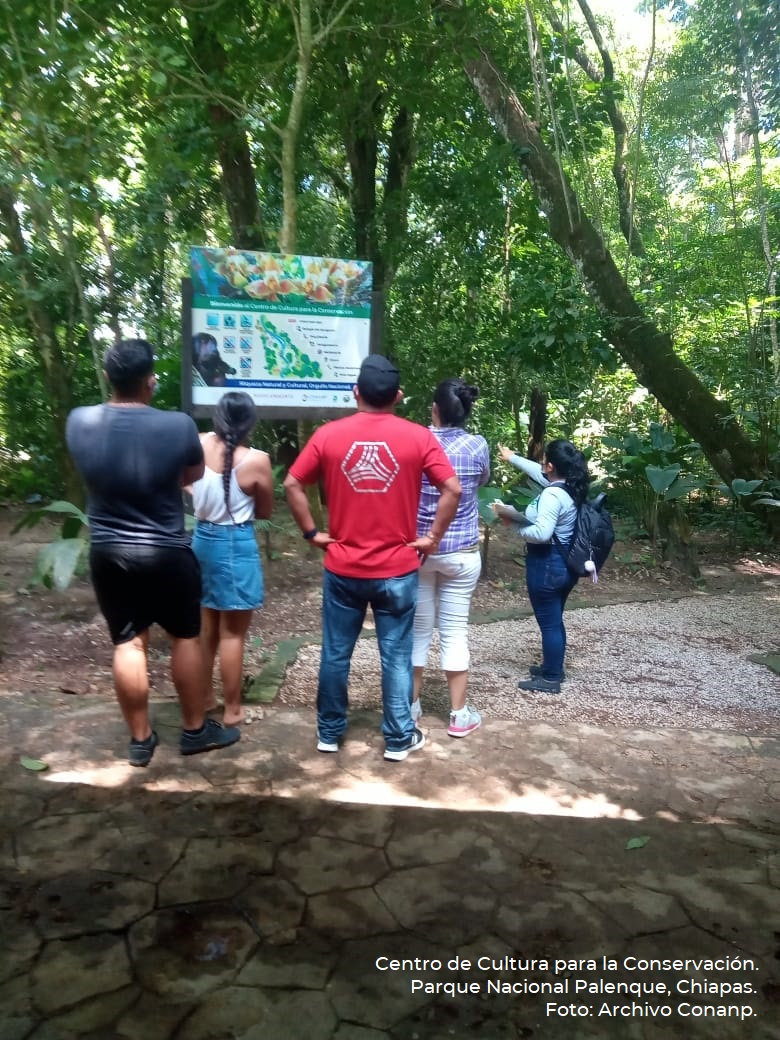 Centro de Cultura para la Conservación del Parque Nacional Palenque