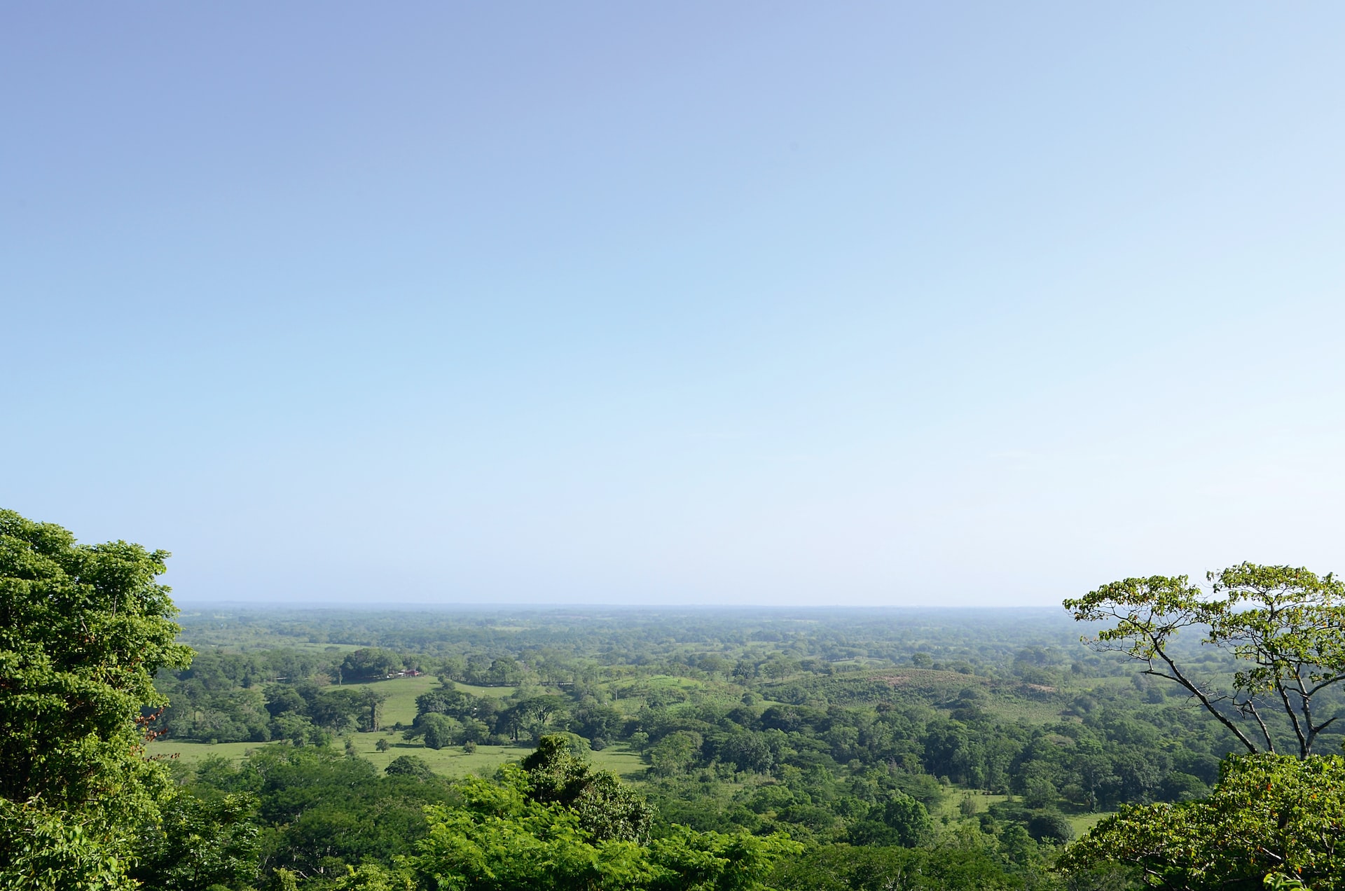 Palenque