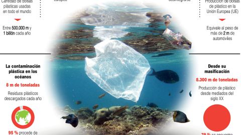 Infografía. Bolsas de Plástico
