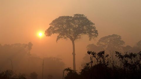Humo en la Amazonia