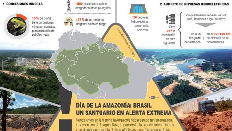 Infografía del Día de la Amazonia