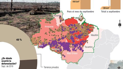 Infografía. Deforestación de Amazonia en Septiembre