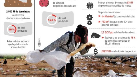 Infografía desperdicio de alimentos