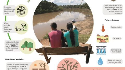 Infografía Agua de Brasil