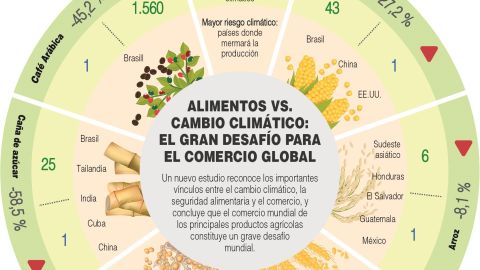 Infografía: Alimentos y cambio  climático