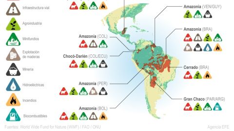Infografía COP26 deforestación
