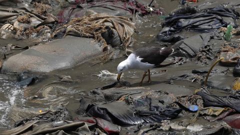 Contaminación en el playa