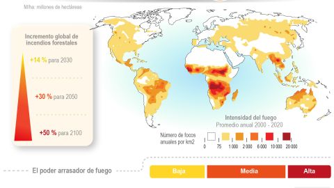 Infografía Incendios