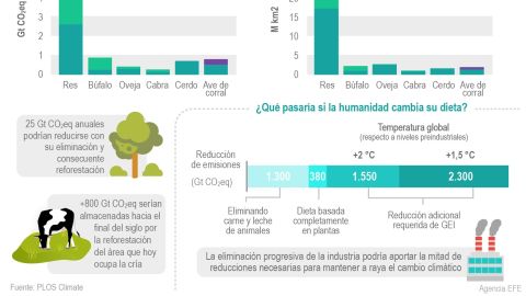 Infografía Emisiones de ganadería