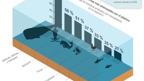 Infografía plásticos en el mar 