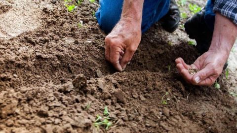 Aguas Firmes Grupo Modelo