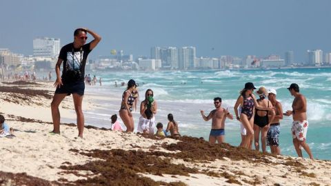 Sargazo en el Caribe