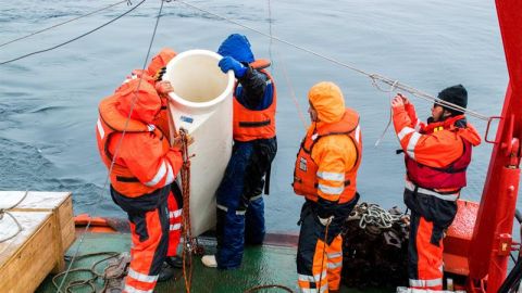 Estudian en la Antártida el ciclo del carbono